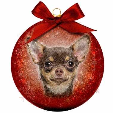 1x huisdieren kerstballen met chihuahua hondje 8 cm