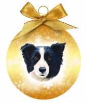 Kerstversiering kerstballen met border collie hond