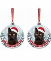 Set van 2x stuks glazen kerstballen kat poes zwart 7 cm